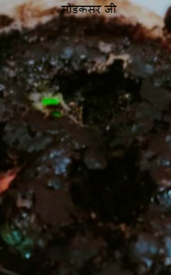 मोडकसर जी