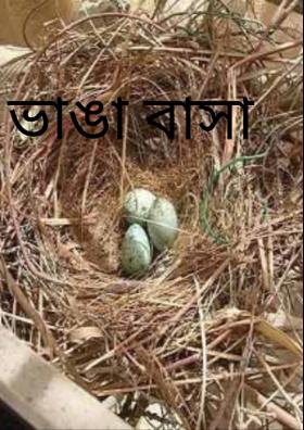 ভাঙা বাসা