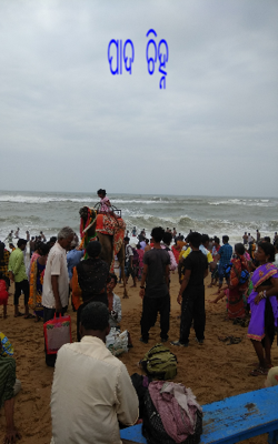 ପାଦ ଚିହ୍ନ