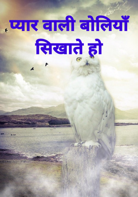 प्यार वाली बोलियाँ सिखाते हो