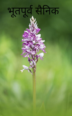 भूतपूर्व सैनिक