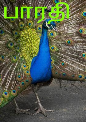 பாரதி வருவாரா!