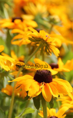 திருமந்திரம்