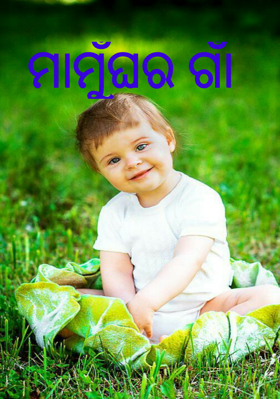 ମାମୁଁଘର ଗାଁ