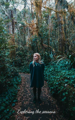 Exploring the seasons