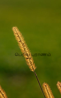 பெரிய புராணம்