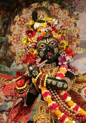 ହୋଲି ର ଶୁଭେଛା ହେ ବିଶ୍ଵ ନିୟନ୍ତା