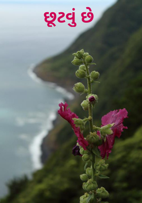 છૂટવું છે