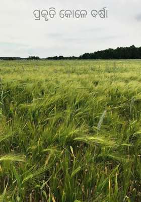 ପ୍ରକୃତି କୋଳେ ବର୍ଷା