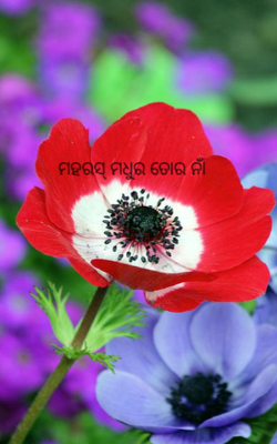 ମହରସ୍ ମଧୁର ତୋର ନାଁ