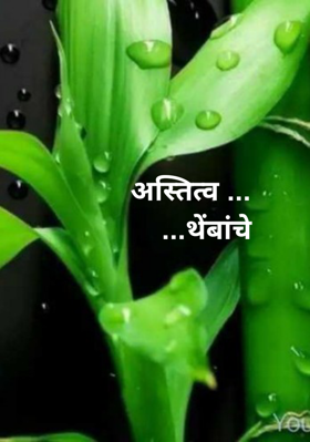 अस्तित्व थेंबांचे