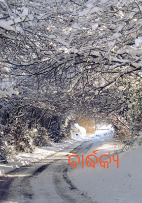 ବାର୍ଦ୍ଧକ୍ୟ