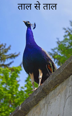 ताल से ताल