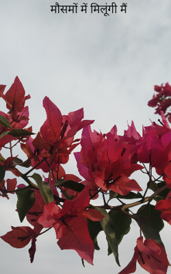 मौसमों में मिलूंगी मैं