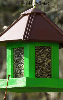 कोरोना की दूसरी लहर