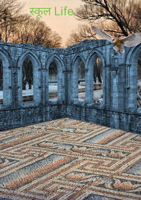 स्कूल लाइफ