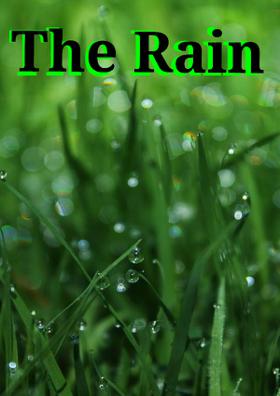 The Rain