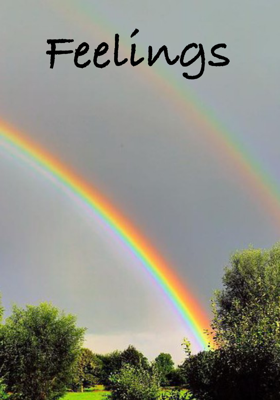 Feelings