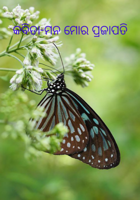 କବିତା-ମନ ମୋର ପ୍ରଜାପତି