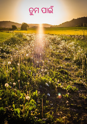 ତୁମ ପାଇଁ