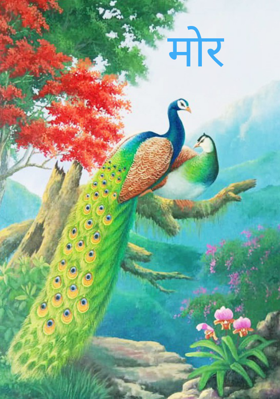 मोर