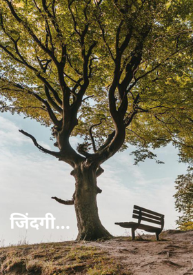 जिंदगी...