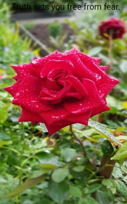 Truth Sets You Free From Fear