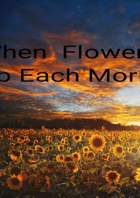 When  Flowers Wake Up