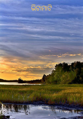 ଭିଟାମାଟି