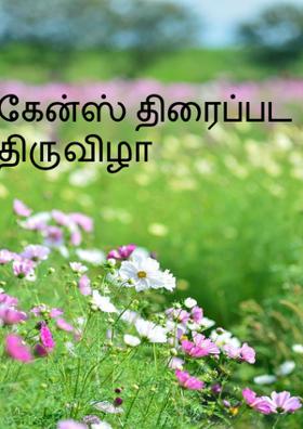 கேன்ஸ் திரைப்பட திருவிழா