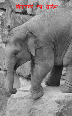 विनायकी का सन्देश