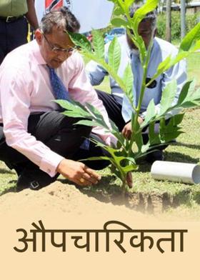 औपचारिकता