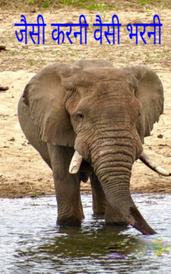 जैसी करनी वैसी भरनी