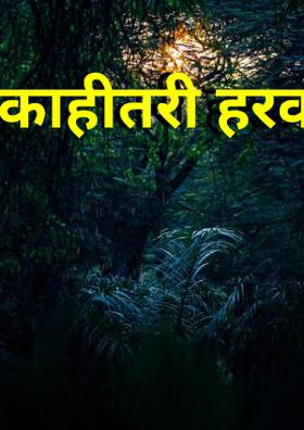 काहीतरी हरवलंय