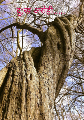 दु:ख असेही...