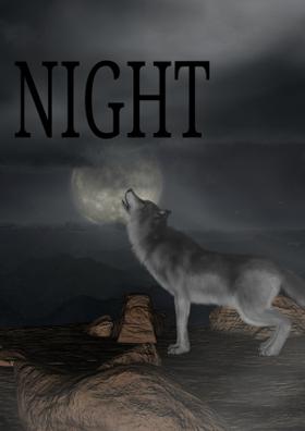 The Night (Shirt And Sweet)