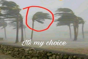 Your instinct is your best bet and your choice is your best chosen option 