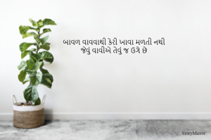 બાવળ વાવવાથી કેરી ખાવા મળતી નથી
જેવું વાવીએ તેવું જ ઉગે છે