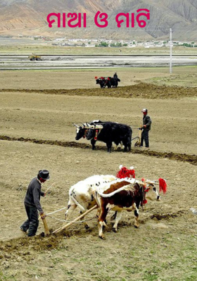 ମାଆ ଓ ମାଟି