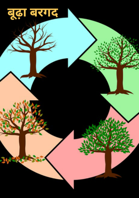 बूढ़ा बरगद