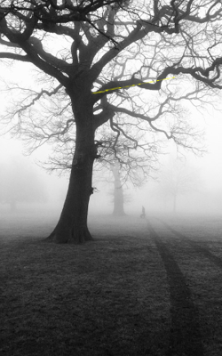 दुनियादारी