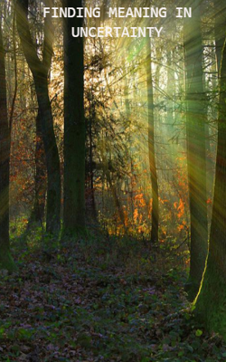 Finding Meaning in Uncertainty