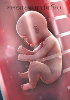 নলজাতক ধারাবাহিক