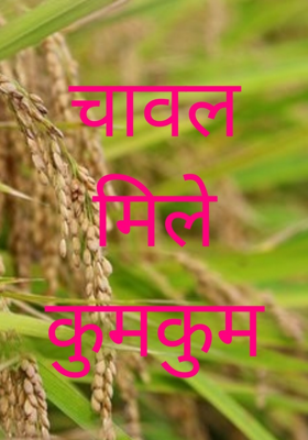 चावल मिले कुमकुम से