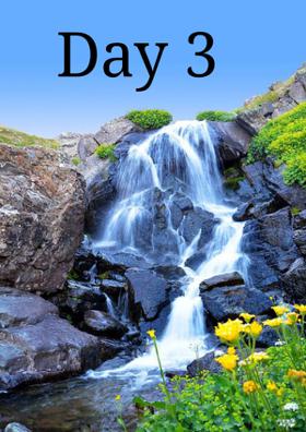 Day 3
