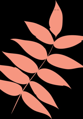 काल समय --