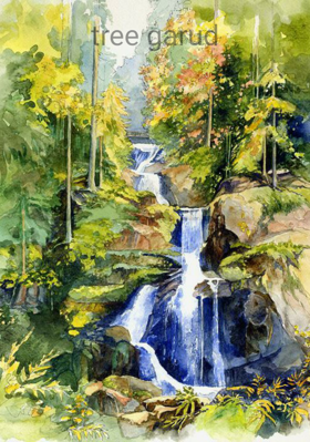 टी गार्ड