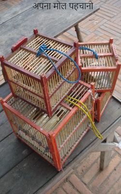 अपना मोल पहचानो