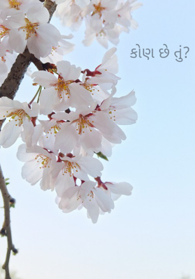 કોણ છે તું ?