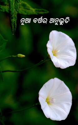 ନୂଆବର୍ଷର ଅନୁଭୂତି